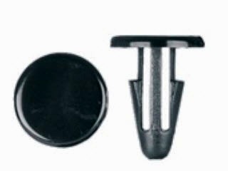 ������ ������� ������  Honda Accord, Civic, Prelude, Odyssey, CR-V, S2000, Insight, Ridgeline, Fit / Acura Vigor, RL, RSX, TL, NSX, MDX, Integra