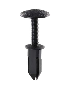 ������ �������� 