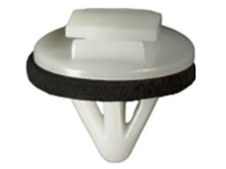 ������ �������� ����, ������ ����  Toyota Avalon