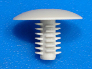 ������ ������� ������, ����� ����  Fiat 