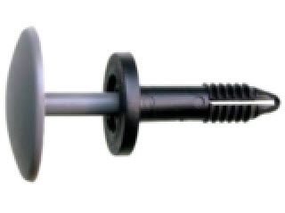 ������ �������� 