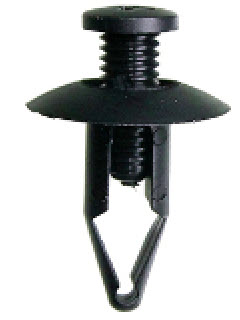 ������ �������� 