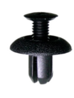 ������ �������� 