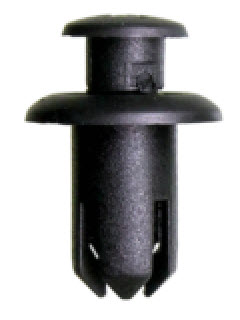 ������ �������� 