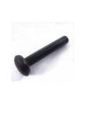    VW  / Chery Amulet