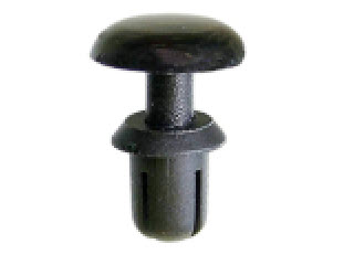 ������ �������� 