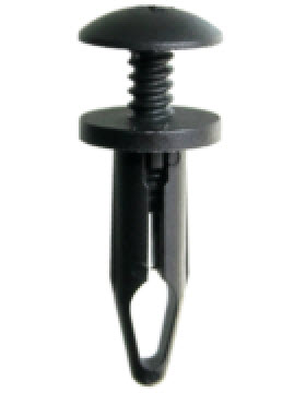 ������ �������� 